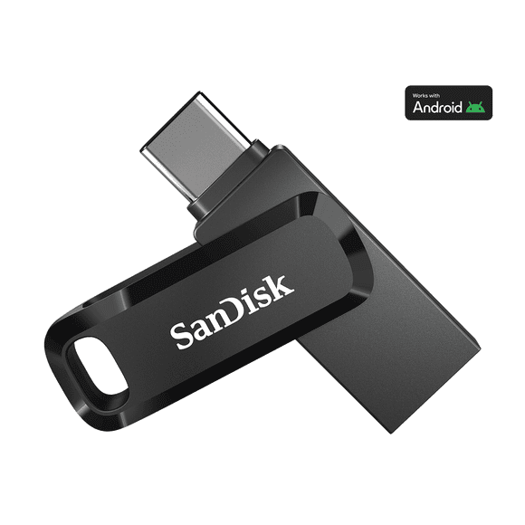 SanDisk Ultra Dual Drive Go - USB flash drive - 256 GB - USB 3.1 Gen 1 / USB-C - Black