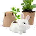 thumbnail image 4 of Bonsai Pot,Cute Animal Shaped Succulent Resin Flower Pot Succulents Pot Exceptional Craftsmanship, 4 of 8