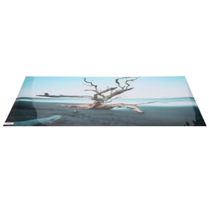 Aquarium décor Arrière-plan Décor Ciel Arbre flétri 3D PVC Fond d'écran auto-adhésif réservoir de poisson pour Aquarium réservoir de poissons