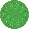 thumbnail image 1 of Ahgly Tapis d'Intérieur Lavable en Machine Carré Transitionnel Vert Néon, 3 Pieds Carré, 1 of 7