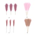 thumbnail image 2 of Wweixi 3piece Peaceful With Pampas Reed Decoration Downy And Durable Boho Decor Dark Pink 1Set, 2 of 6