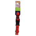 thumbnail image 2 of Pet Attire by Coastal Medium 12-18" Red Adjustable Buckle Dog Collar, 2 of 9