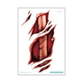 thumbnail image 1 of CAROOTU Halloween Stickers Waterproof Simulation Scratches Scars Bite Marks Simulation Fake Wound Tattoo, 1 of 7