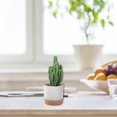 thumbnail image 4 of Flowerpots with Dish Ceramic, High Hardness Imitation Ceramic Plastic Flower Pot Large/Small White Succulents Planter Plastic Plant Pots White Plant Pots, Flower Pots, 4 of 7