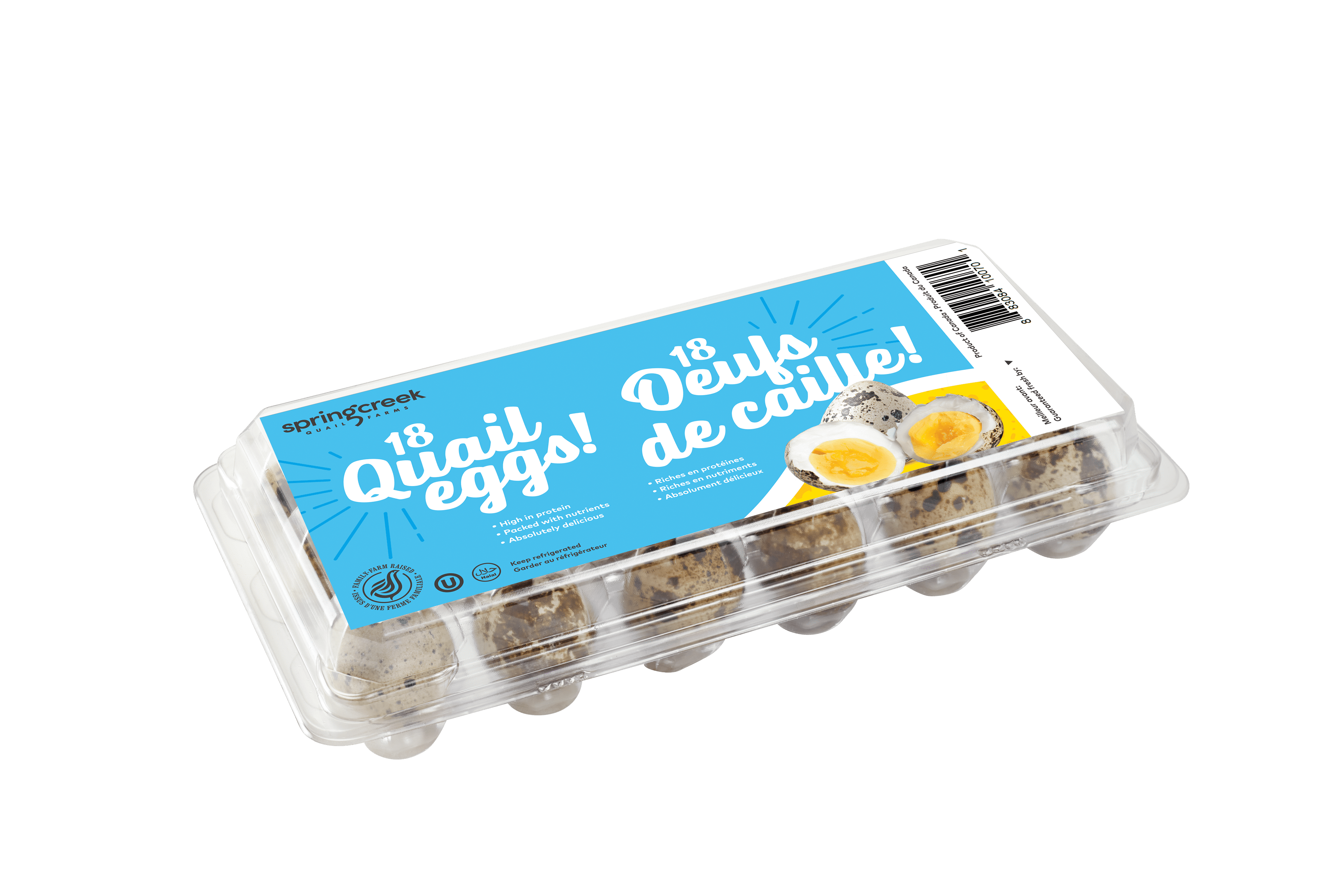 SPRING CREEK QUAIL 18 FRESH QUAIL EGGS