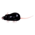 thumbnail image 1 of lionlar Cat Toy Running Funny Interactive Play Electronic Rat Mouse for Black, 1 of 9