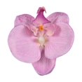 thumbnail image 1 of 10pcs Imitation Decorative Phalaenopsis Realistic Design Fake Flowers for Wedding Centerpieces Decoration, 1 of 2
