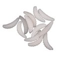 thumbnail image 1 of Simulation Bread Worm Soft Bait Maggot Worm Fake Bait Road Fishing Bait, 1 of 1