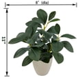 thumbnail image 3 of Mainstays 11in Indoor Artificial Plant in Pot, Green Peperomia., 3 of 5
