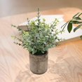 thumbnail image 4 of DOLITY Artificial Potted Plant Small Faux Mini Potted Plants for Kitchen Desktop Home Small Eucalyptus, 4 of 9