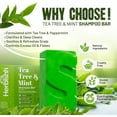thumbnail image 3 of (2 pack) Herbishh Tea Tree & Mint Shampoo and Conditioner Bar Set, Solid Shampoo Bar for Oily Hair and Scalp, Deep Cleansing, Minty Fresh, 3.53 oz, Travel Size, for Men and Women, 3 of 5