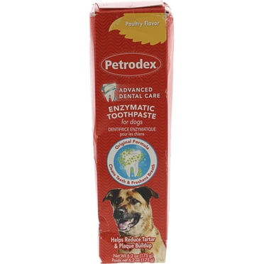 St Jon Laboratories Toothpaste For Dog 6 Ounces - 51106