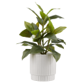 thumbnail image 1 of Bouclair Plante Artificielle Verte en Pot à Rayures, 1 of 3