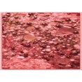 thumbnail image 1 of Ahgly Company Tapis Rectangulaire Rouge Lavable en Machine, 4 Pieds x 6 Pieds, 1 of 7