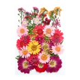 thumbnail image 1 of EGNMCR Fake Flowers, Artificial Flowers Dried And Embossed Flowers For Resin Kit Candles And Crafts Embossing material, 1 of 1
