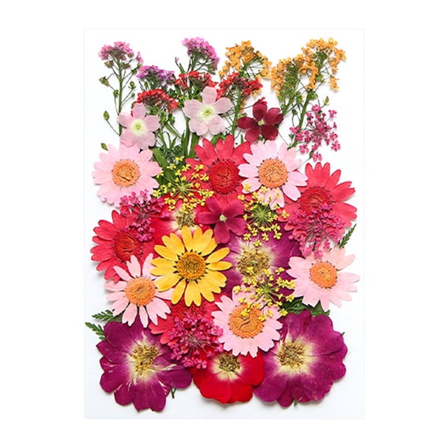 EGNMCR Fake Flowers, Artificial Flowers Dried And Embossed Flowers For Resin Kit Candles And Crafts Embossing material
