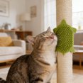 thumbnail image 4 of Svmmer Turtle Shaped Cat Comb Wall Mounted Cat Scratching Board & Self Grooming Device, 4 of 5
