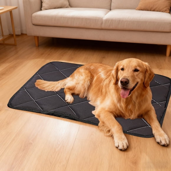 Orthopedic Bed Mat with Removable Washable Cover for Providing Supportive Comfort Foam Pad for Joint and Calming Anxiety in Indoor Use