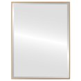thumbnail image 1 of Miroir Rectangulaire Encadré Singapore - Vaporisation Dorée - 13 Pouces x 17 Pouces, 1 of 7