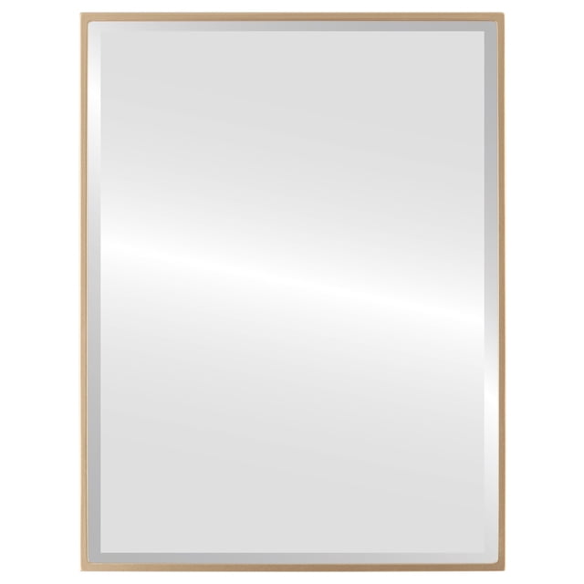Miroir Rectangulaire Encadré Singapore - Vaporisation Dorée - 13 Pouces x 17 Pouces