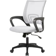 BestOffice Home Office Chair Desk Adjustable Lumbar Support Armrest Executive, High Density Mesh 360 Degree, White