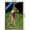 thumbnail image 3 of Célèbre chaton accroché là-bas Poster, 3 of 5