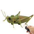 thumbnail image 1 of RC Spider&Bee Electric Remote Control Simulated Insect Cockroach Car Scary Prank Toys For Party Props Kids Gift, 1 of 13