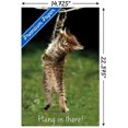 thumbnail image 3 of Célèbre chaton accroché là-bas Poster, 3 of 5