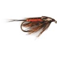 thumbnail image 1 of Superfly FLY1193-12P Nymph March Brown #12, 1 of 1