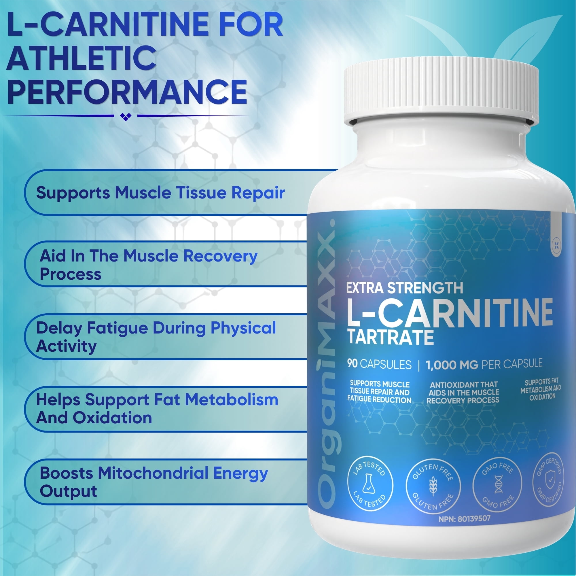 how much l carnitine tartrate per day L-Carnitine 800mg + HCA 200mg Tablets  Metabolism, Energy & Weight Support L-Carnitine Tartrate