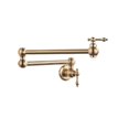 thumbnail image 1 of Pot Filler Double Joint Spout Folding Stretchable Swing Arm Wall Brass Kitchen Faucet Single Hole Two Handle Kitchen Sink Tap ,High Water Flow Rate, 1 of 6