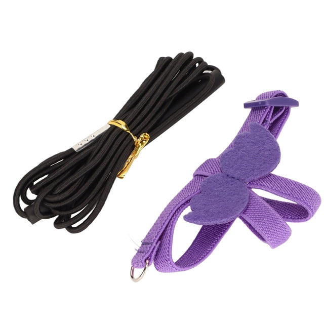 Harnais et Laisse pour Oiseaux, Harnais de Vol pour Oiseaux Résistant aux Morsures, Corde de Traction Réglable, Conception Ergonomique et Flexible avec Poignée Confortable pour Oiseaux XS,S,M,L