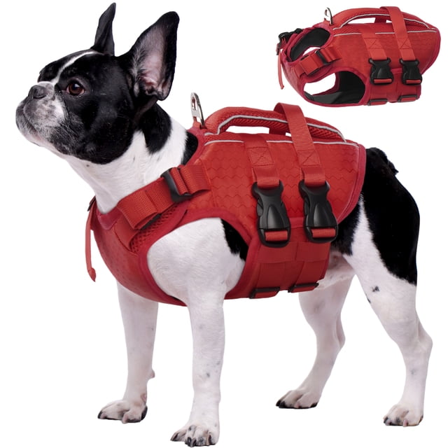 Kuoser Dog Life Jacket in red, size XS, displayed on a small dog. This reflective and adjustable life vest is made of ripstop oxford cloth and high-density pearl cotton foam for flotation. Features include a rescue handle, leash hook, and telescopic neck buckle. Ideal for swimming, kayaking, boating, and other water activities. Suitable for small, medium, and large dogs.