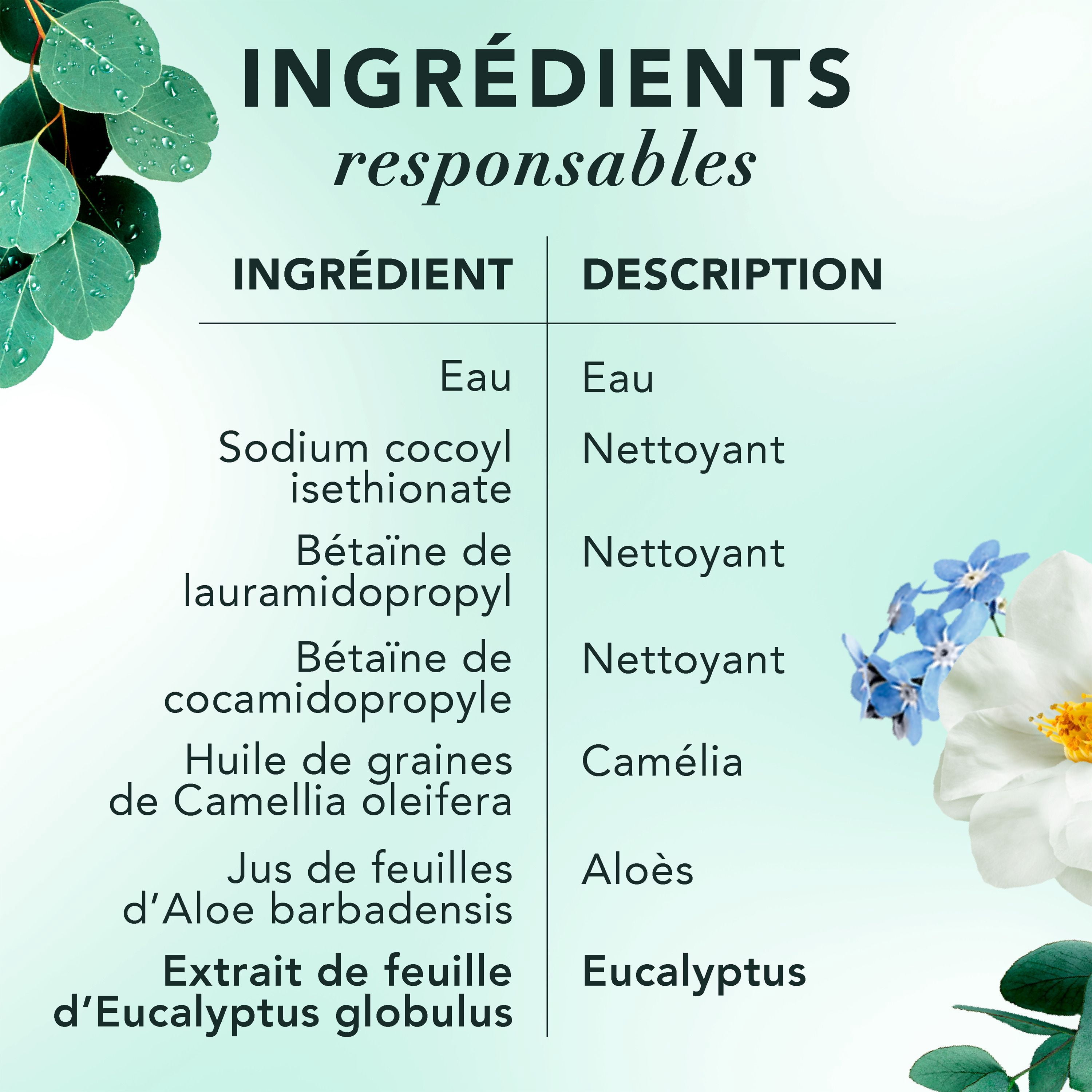 Shampooing Herbal Essences Cuir Chevelu et Purification, Nettoie Le Cuir Chevelu Pour Des Cheveux Doux, Eucalyptus, Sans Sulfate, 400 mL