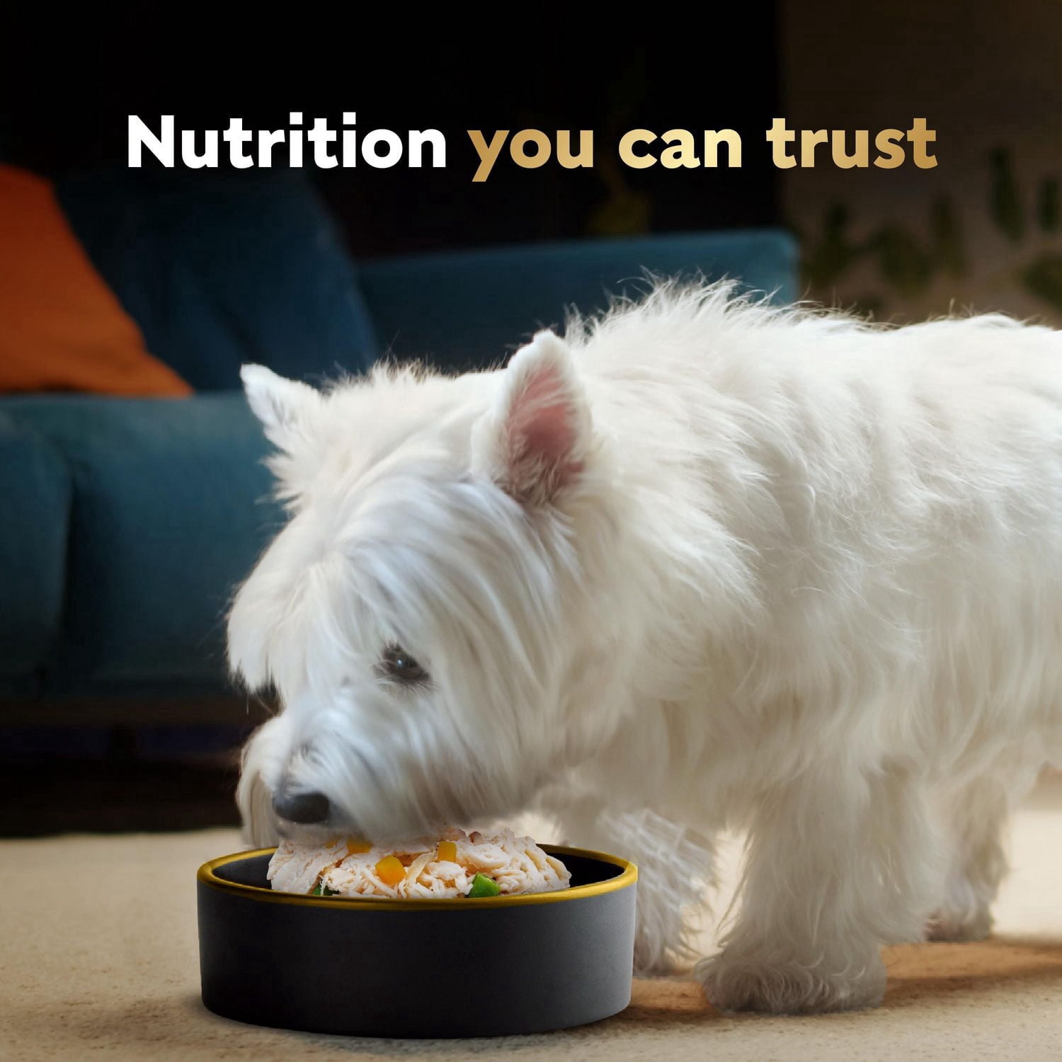 Nourriture humide pour chiens adultes Cesar Wholesome Bowls recette au bœuf, au poulet, aux carottes et aux pommes de terre mauves