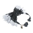 thumbnail image 2 of Novelty Lights 70 Light C6 LED Christmas Mini Light Set,Outdoor Lighting Patio Party String Lights, Pure White, Black Wire, 24 Feet, 2 of 2