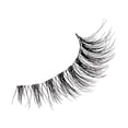 thumbnail image 2 of KISS The New Natural, False Eyelashes, Nude Blazer, Multipack, 4 Pairs, 2 of 7