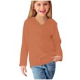thumbnail image 4 of vdgthytj Toddler Boys Girls Long Sleeve T-Shirts Kids V Neck Solid Color Color Basic Tops Fall Spring Outfit Blouse, 4 of 5