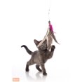 thumbnail image 2 of Hartz Just for Cats Kitty Caster Cat Toy, 2 of 3
