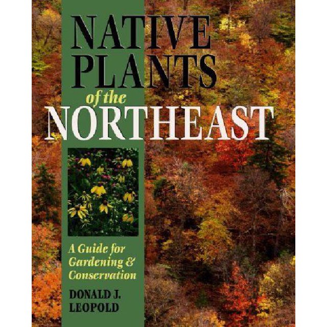 Native Plants Of The Northeast By Leopold, Donald Joseph