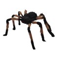 thumbnail image 3 of Araignée poilue Halloween 28", 3 of 3