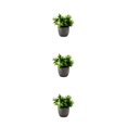 thumbnail image 3 of Decodeary Green Eco-friendly Artificial Money Tree In Pot Long-lasting Durability Realistic Appearance new whitebabysbreath 3Set, 3 of 6