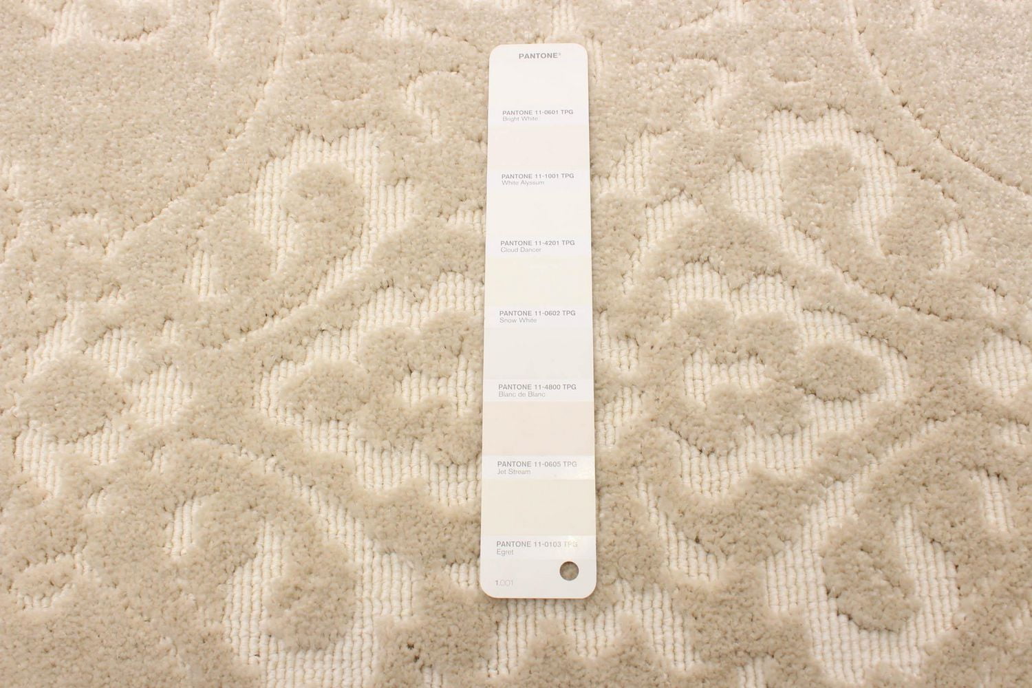 ECARPET Modern Area Rug for Dining Room, Living Room