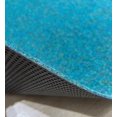 thumbnail image 4 of LaDole Rugs Marine Carpet with Waterproof Back Outdoor Area Rug for Patio Porch Deck Garage Balcony Long Runner Non Slide Backing, 4 of 7
