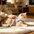 thumbnail image 4 of Pet Harness and Leash Set, Breathable Mesh Vest with Adjustable Straps, Color Block Dog Cat Walking Strap, Polyester, Orange/Pink/Red/Green/Blue, 1 Set, 4 of 6