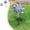 A, variant on Jubipavy Reflective Windmills With Stakes Extra Sparkly Windmills For Garden Decor Devices Deterrent To Scare Birds Away From Yard Patio Farm