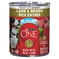 thumbnail image 1 of Purina ONE Tender Cuts in Gravy Lamb & Brown Rice Entrée, Wet Dog Food 368 g, 1 of 10