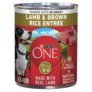Purina ONE Tender Cuts in Gravy Lamb & Brown Rice Entrée, Wet Dog Food 368 g