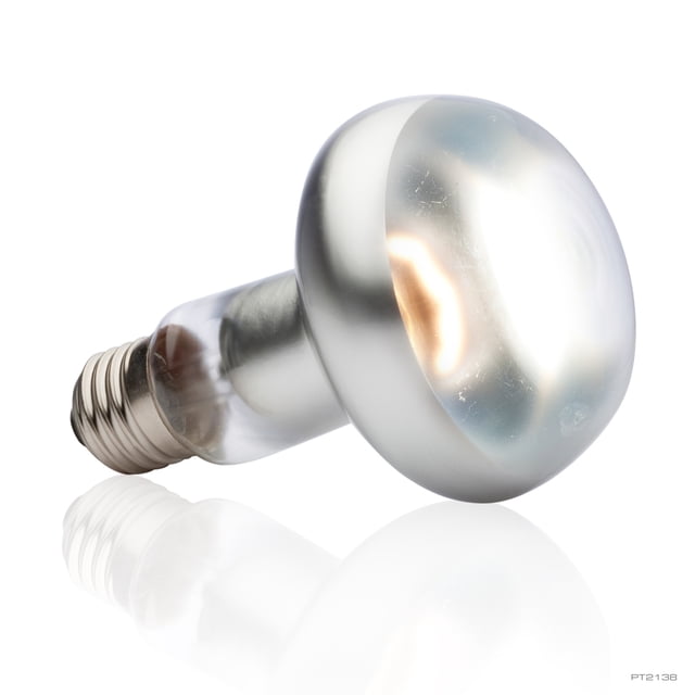 Ampoule Intense Exo Terra pour lézarder, S30, 150 W