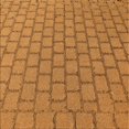 thumbnail image 1 of Ahgly Tapis d'Intérieur Lavable en Machine Carré Transitionnel Acajou Brun, 4 Pieds Carré, 1 of 7